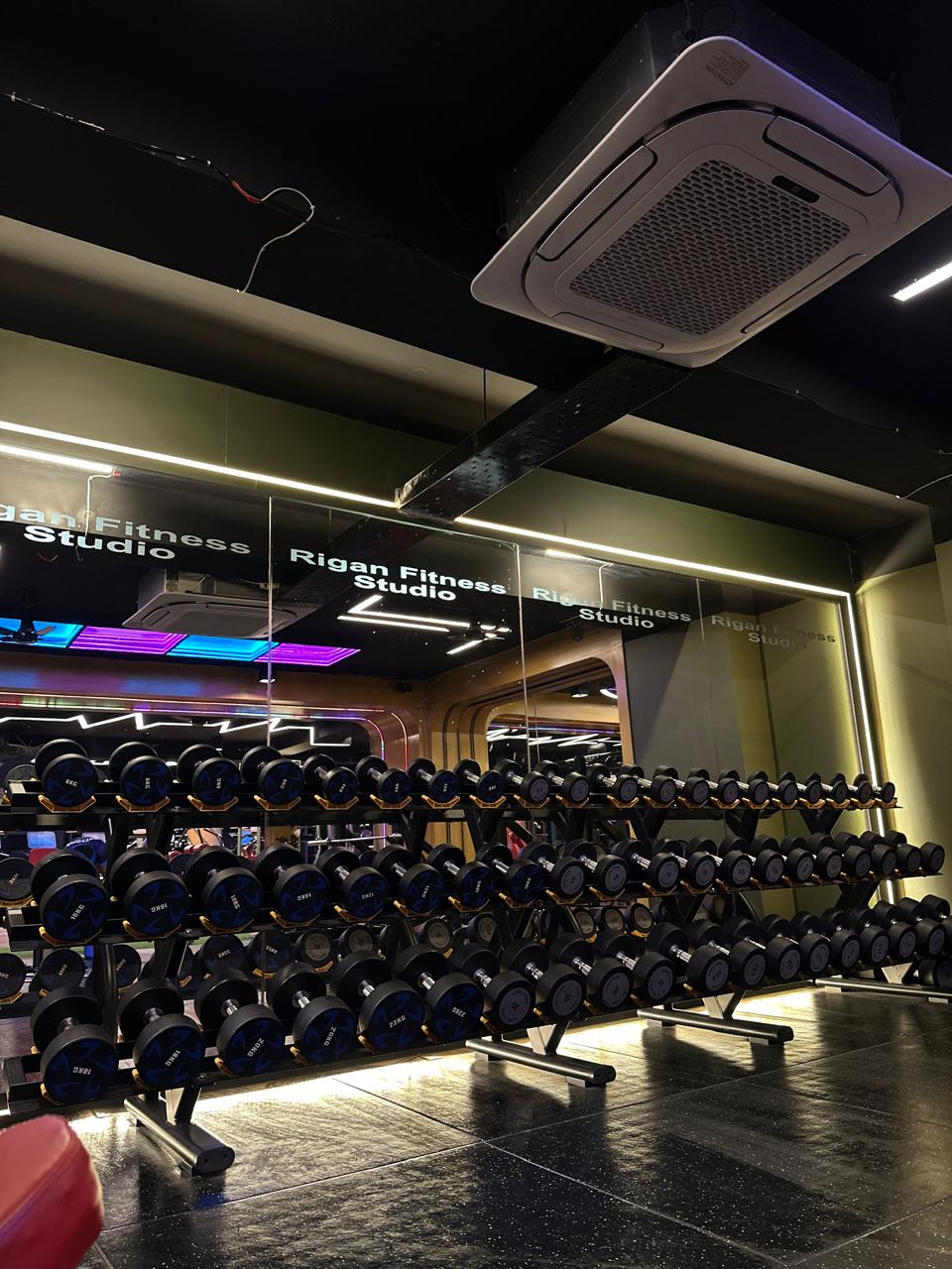 Premium dumbbell area at Rigan Fitness Studio