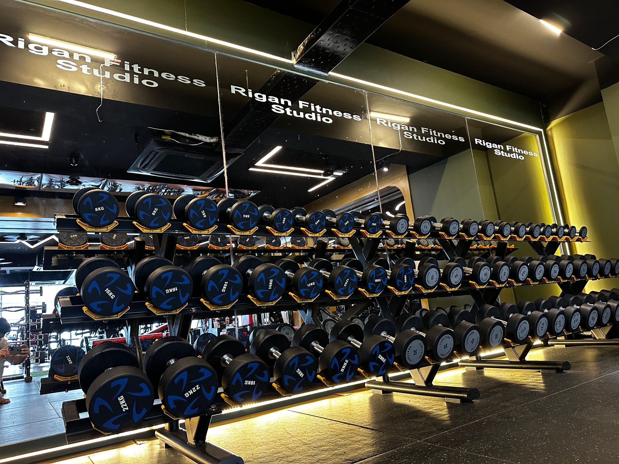 Wide view of premium dumbbell racks